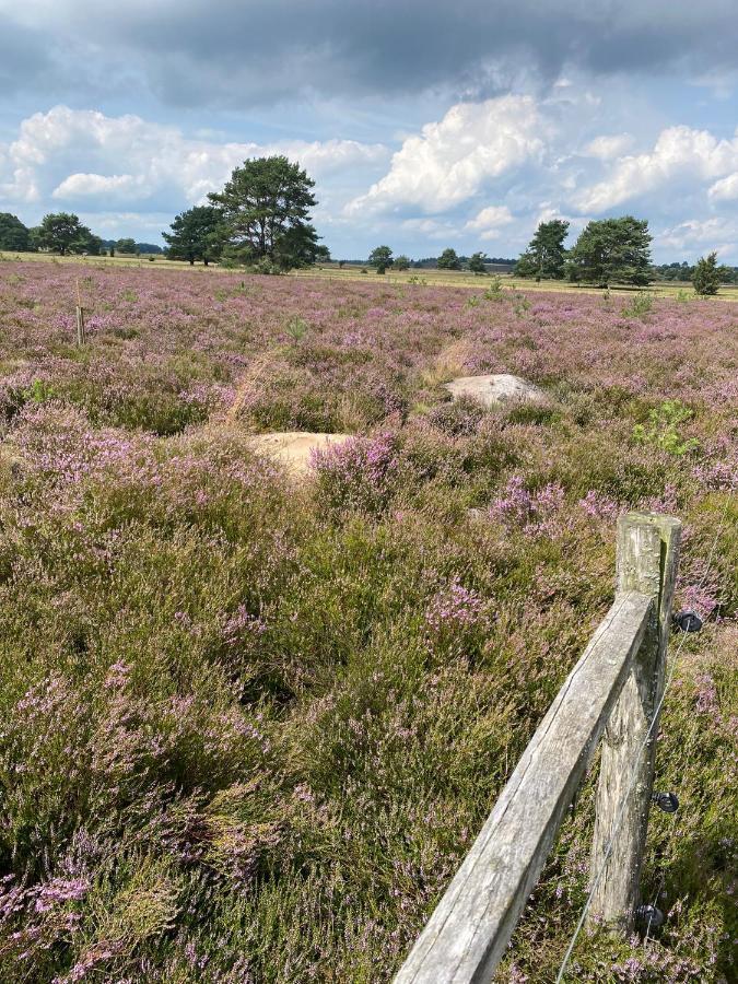 Holiday In Der Lueneburger Heide Bispingen Bagian luar foto